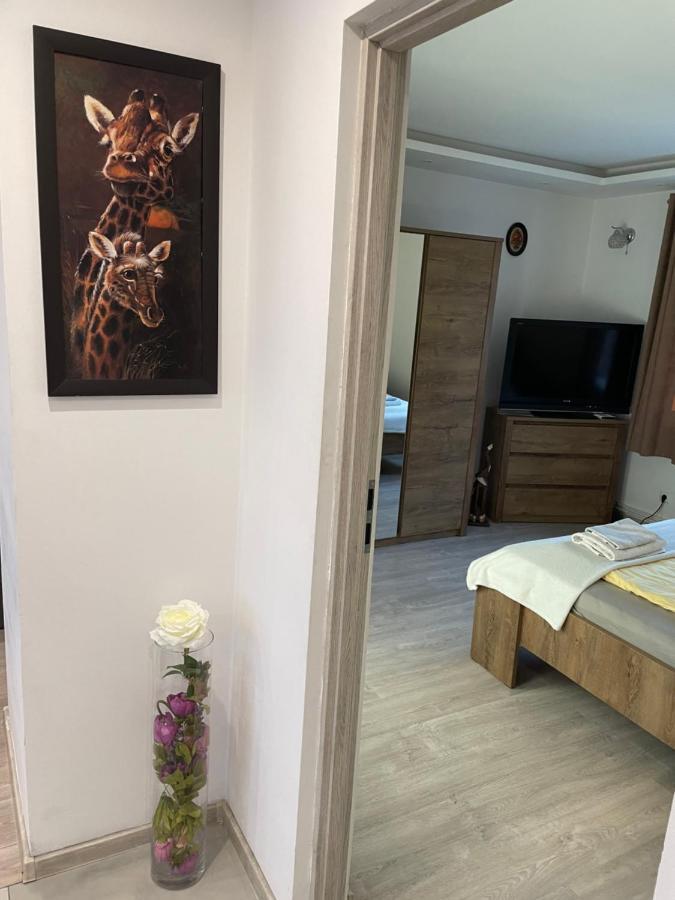 Prestige Apartament Elblag Exterior photo